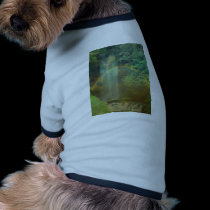 waterfall rainbow pet clothing
