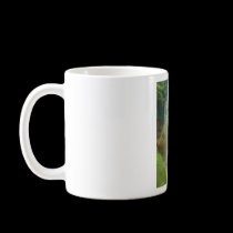 waterfall rainbow mugs