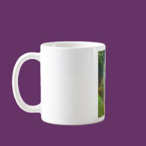 waterfall rainbow mugs