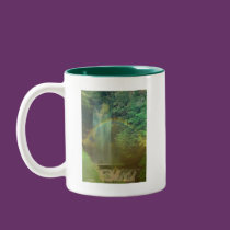 waterfall rainbow mugs