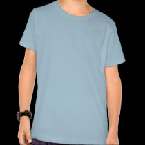 waterfall rainbow t-shirts