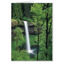 Waterfall surrounded by lush greens cards by Ceyzpurplestang Waterfall surrounded by lush greens cards