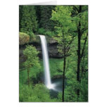 Waterfall surrounded by lush greens card