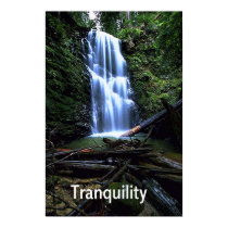 Waterfall Tranquility posters