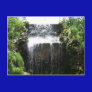 Waterfall Tropics Postcard