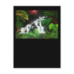 Waterfall Wilderness Postcard