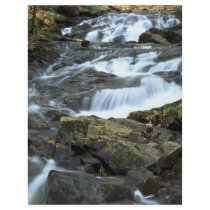 Waterfalls, Gatineau Park, Quebec, Canada Flyer Design