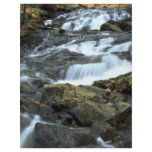 Waterfalls, Gatineau Park, Quebec, Canada flyers
