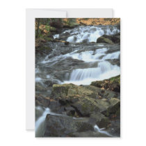 Waterfalls, Gatineau Park, Quebec, Canada Personalized Invitations