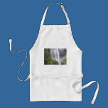 Waterfalls in Mt Rainier National Park Paradise aprons