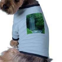 Waterfalls In Zion pet clothing