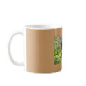 Waterfalls of Kona, Kona Coffee mugs