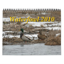 Waterfowl 2010 Calendar by FJL_Photography Waterfowl 2010 Calendar