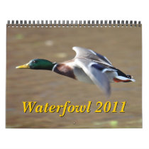 Waterfowl 2011 Calendar