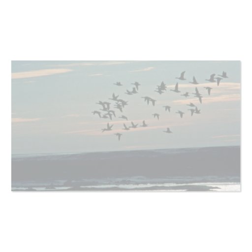 Waterfowl, Arctic National Wildlife Refuge Business Card Template (back side)