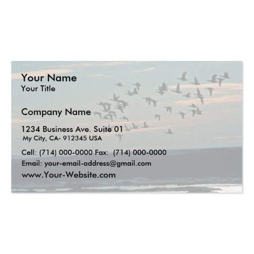 Waterfowl, Arctic National Wildlife Refuge Business Card Template