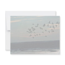 Waterfowl, Arctic National Wildlife Refuge invitations by animalpark Waterfowl, Arctic National Wildlife Refuge invitations