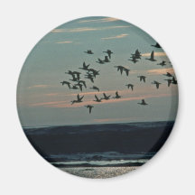 Waterfowl, Arctic National Wildlife Refuge Refrigerator Magnet