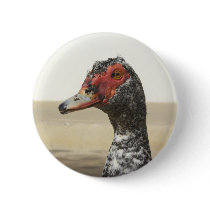 Waterfowl Button 001