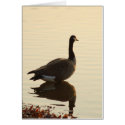 Waterfowl Card by Kavogt773 Waterfowl Card
