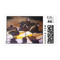 Waterfowl ducks postage