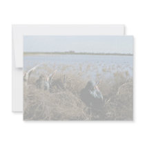 Waterfowl Hunt invitations by animalpark Waterfowl Hunt invitations