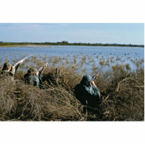 Waterfowl Hunt photo sculptures by animalpark Waterfowl Hunt photo sculptures