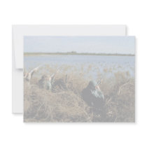 Waterfowl Hunting Invitations