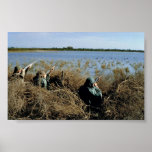 Waterfowl Hunting posters