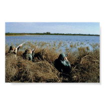 Waterfowl Hunting posters