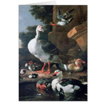 Waterfowl in a classical landscape, 17th century card