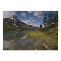 Waterfowl lake along the Icefields parkway,