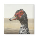 Waterfowl Magnet 001 by phantompanther Waterfowl Magnet 001