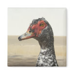 Waterfowl Magnet 001