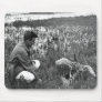Waterfowl Survey Mousepad