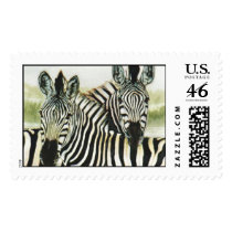 "Waterhole Zebras" postage by paintonmypaws "Waterhole Zebras" postage