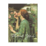 Waterhouse's My Sweet Rose Post Card