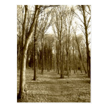 Waterhouses Wood Postcards