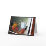 Watering Can / Dried Leaves Cards