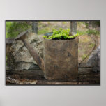Watering Can Posters
