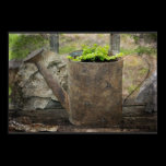 Watering Can posters