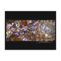 Waterlight postcard