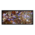 Waterlight print