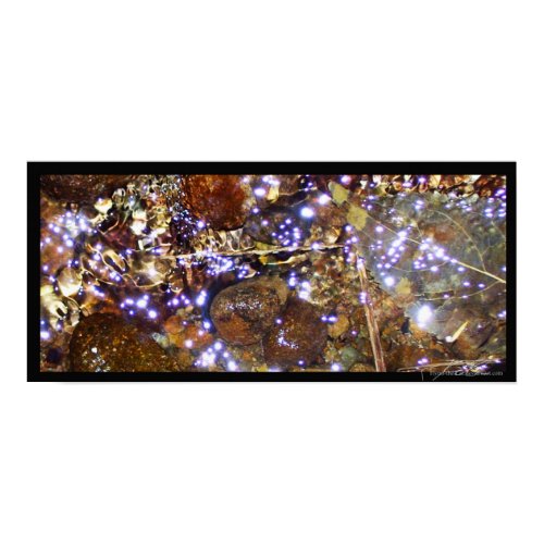 Waterlight print print