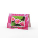 Waterlilies cards by ggbythebay Waterlilies cards