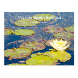 Waterlilies Mission Santa Barbara CA Products Postcard