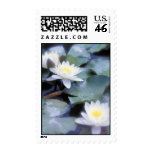Waterlilies postage stamps