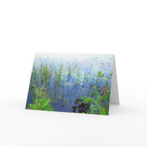 Waterlilies, Sharon CT cards by jennyhansell Waterlilies, Sharon CT cards