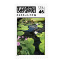 Waterlillies postage