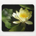 Waterlilly Mousepad by ooitburns Waterlilly Mousepad
